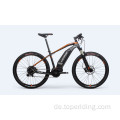 Individuelles elektrisches Off -Roadbike